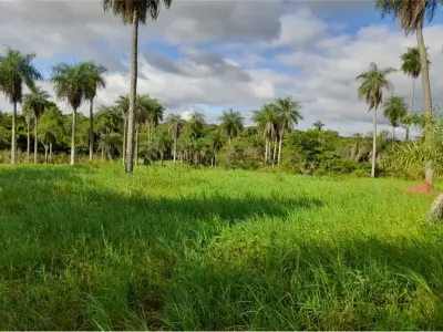 Terreno à venda em Guazú Virá, Itauguá