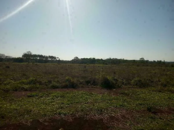 Terreno en venta en Hernandarias — 10 hectáreas para desarrollar