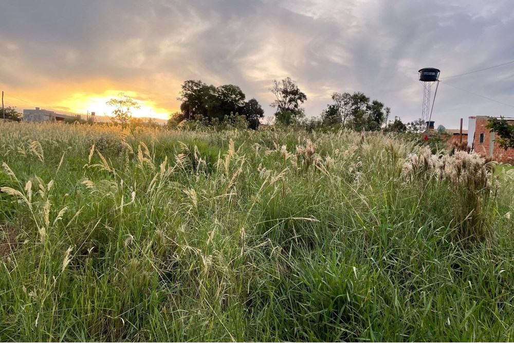 Land for sale in Hernandarias, San Miguel neighborhood
