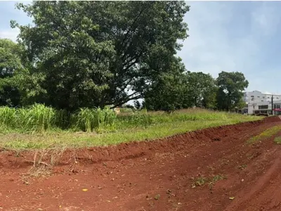 Terreno en venta en Hohenau, Itapúa