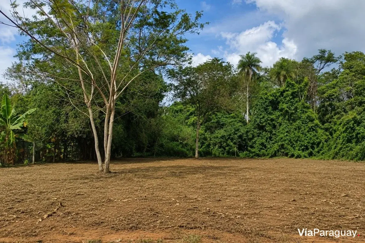 Terreno à venda em Hugua Potí, Itauguá