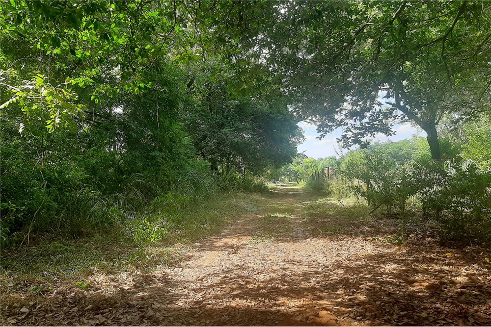 Land for sale in Isla Aveiro, Limpio