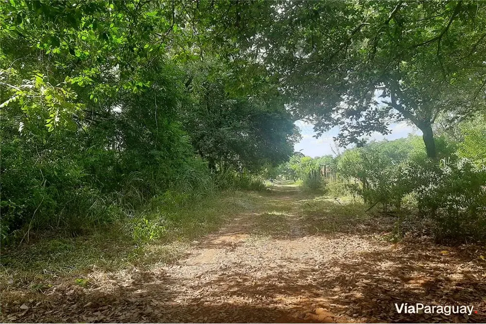 Terreno à venda em Isla Aveiro, Limpio