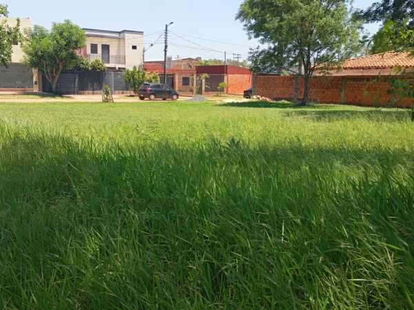 Land for Sale in Isla Aveiro, Limpio – Individual Lot