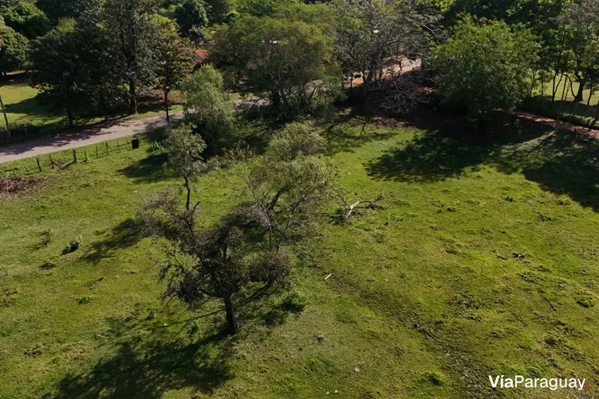 Land for sale in Isla Pucú, Cordillera