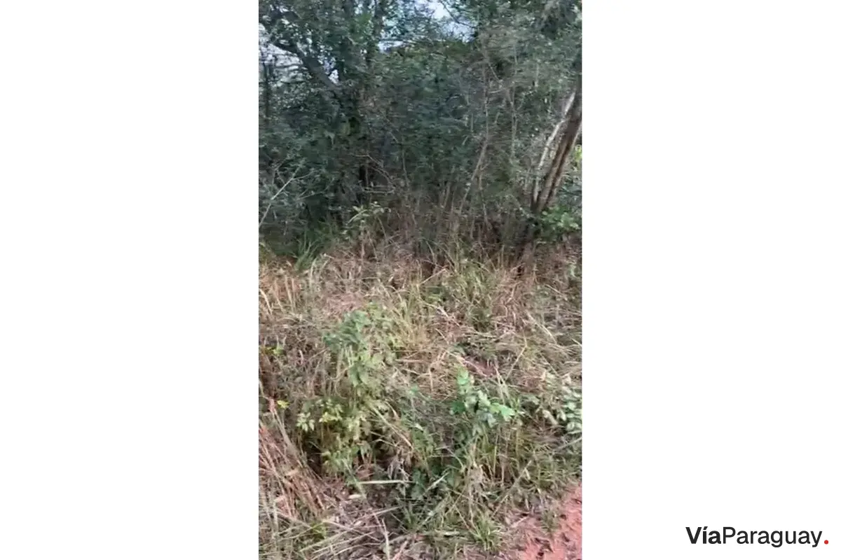 Terreno en venta en Isla Valle, Areguá