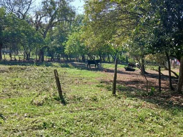Terreno en venta en Isla Valle, Areguá