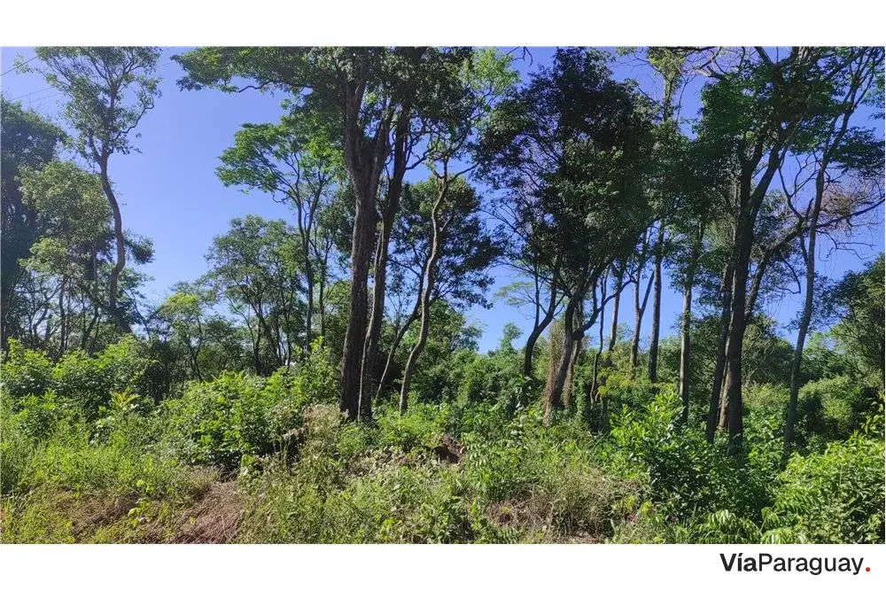 Terreno à venda em Ita Angu'a, Arroyo Pora, Encarnação