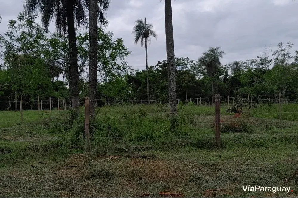 Terreno à venda em Itá, Central