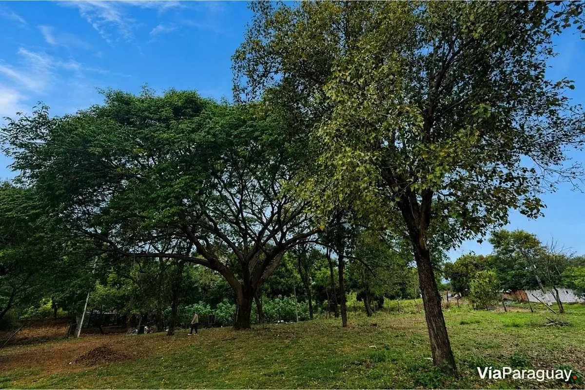 Terreno en venta en Itá Enramada, Asunción
