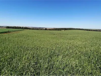 Terreno en venta en Itapúa Poty, Itapúa