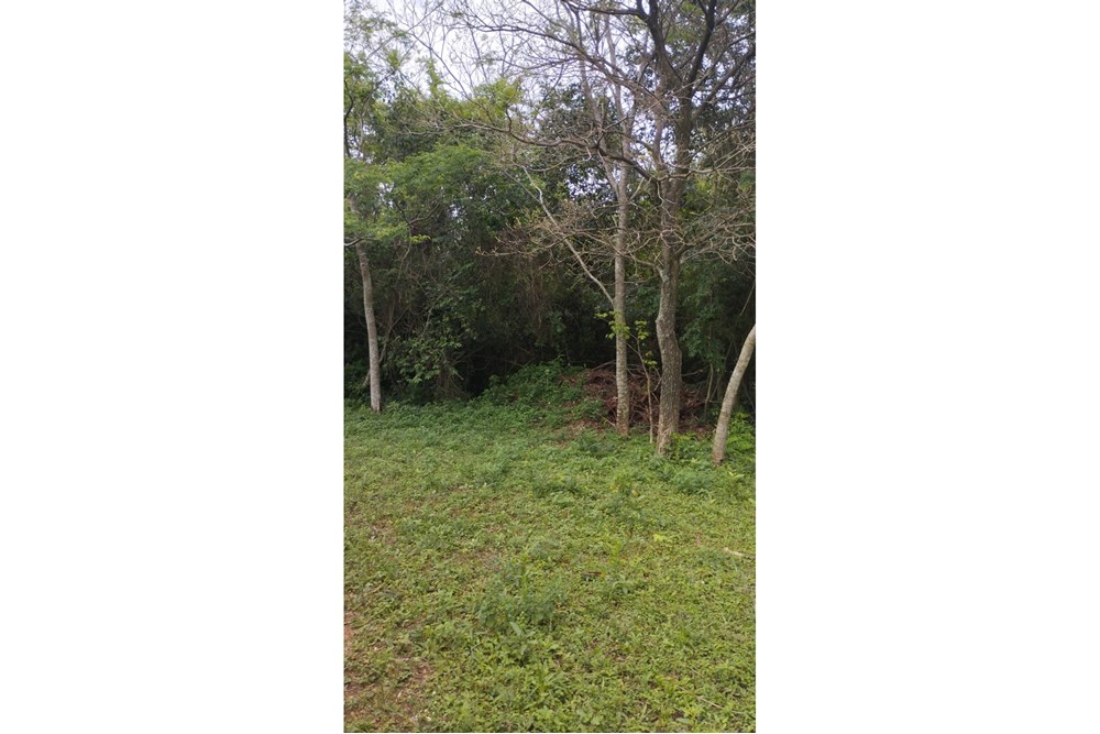 Land for sale in Itauguá, 3,740 m²