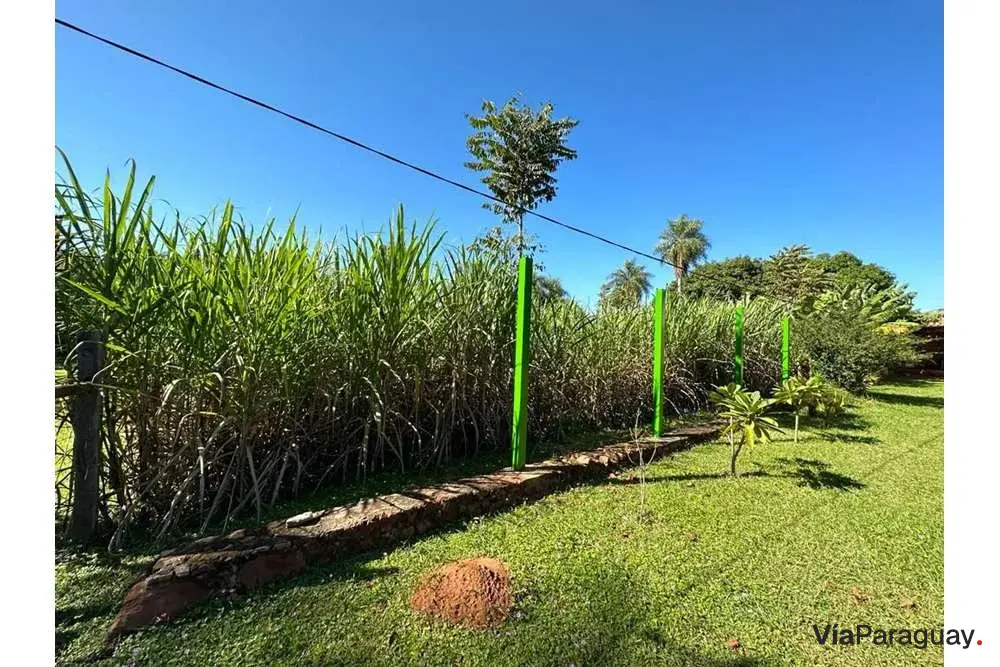 Terreno à venda em Itauguá, 6.250 m²