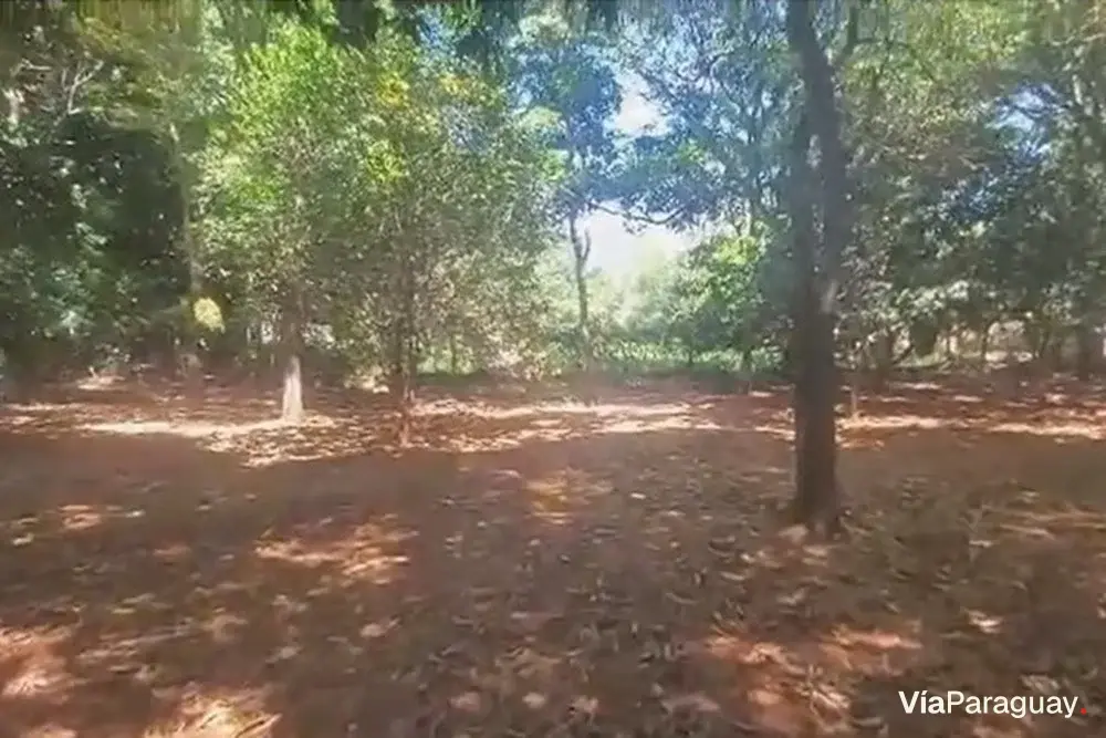 Terreno à venda em Ybyratý, Itauguá