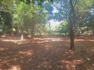 Terreno à venda em Ybyratý, Itauguá