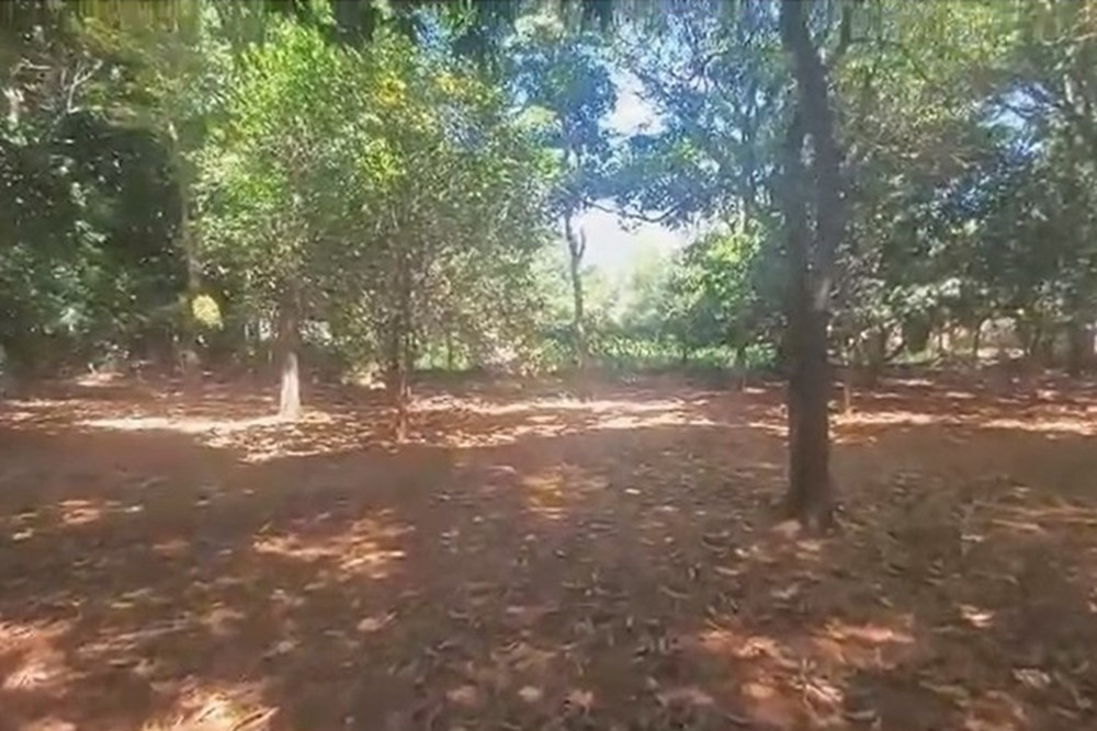 Land for sale in Ybyratý, Itauguá