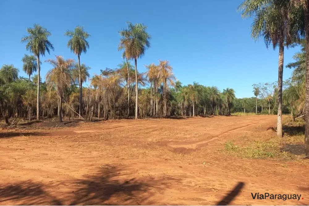 Terreno à venda em Itauguá Guazú, 19.000 m²