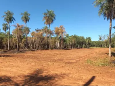 Terreno à venda em Itauguá Guazú, 19.000 m²