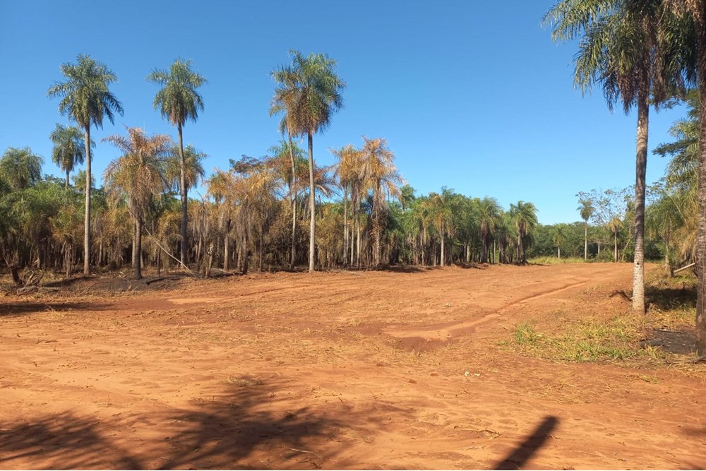Land for sale in Itauguá Guazú, 19,000 m²