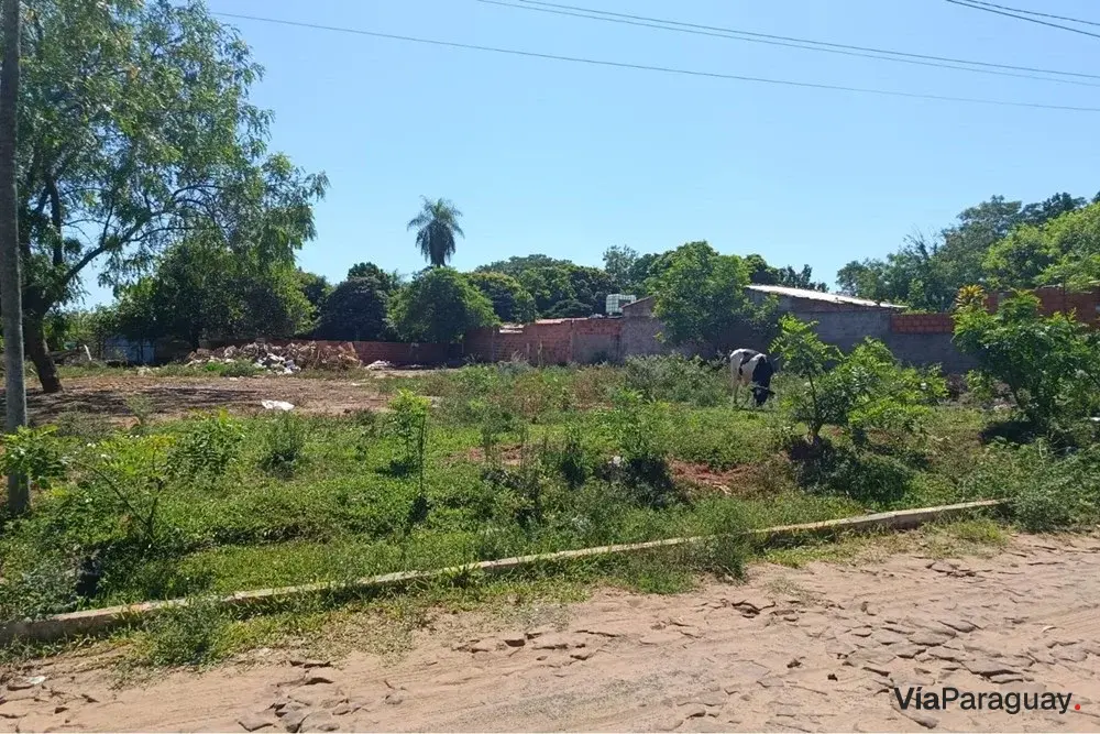 Terreno à venda em J. A. Saldivar, 860 m²