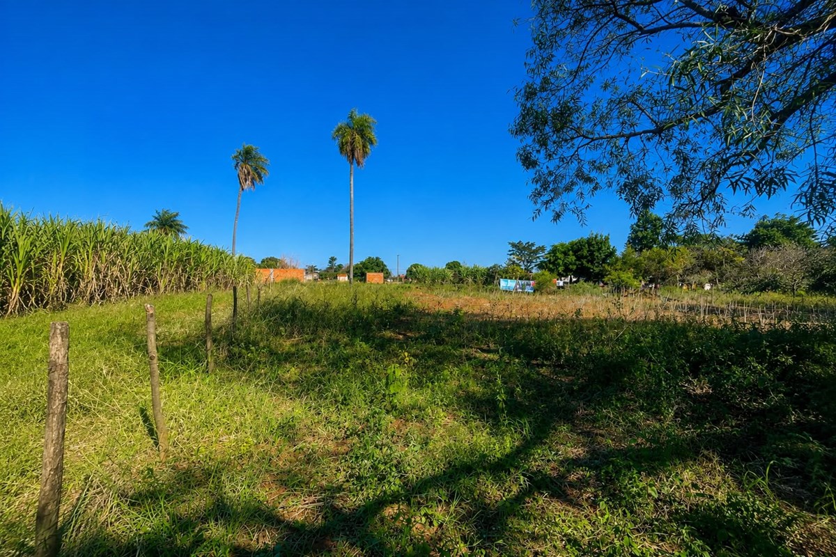 Terreno à venda em J. A. Saldívar, Central