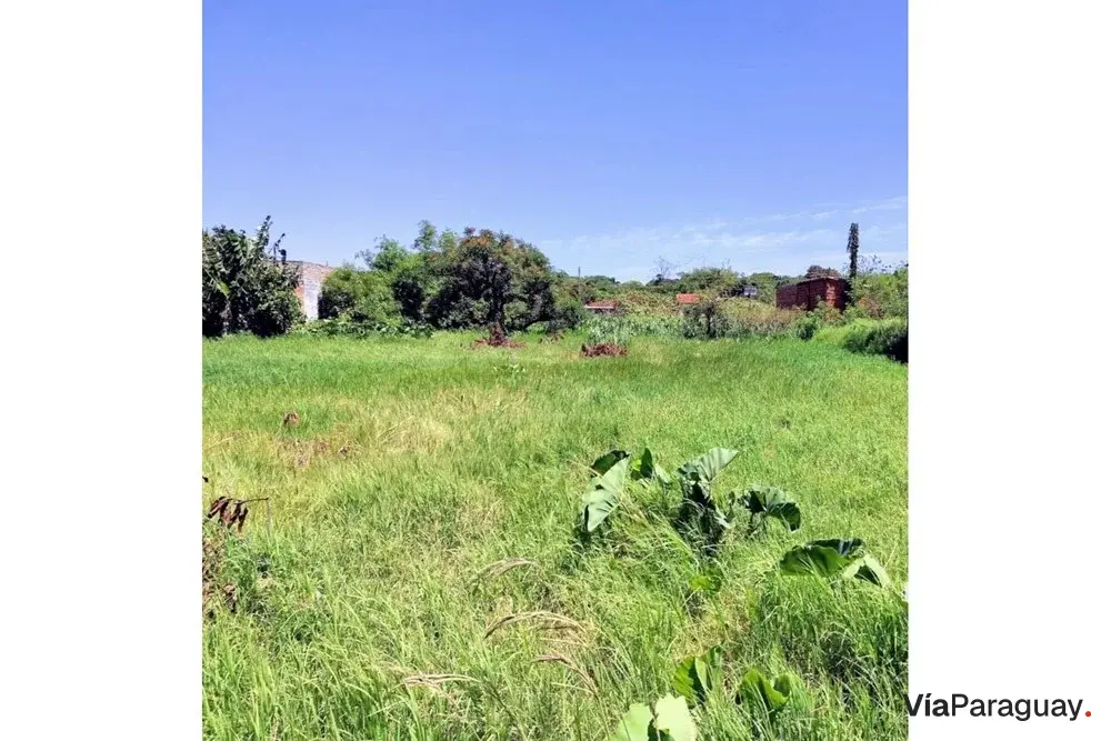 Terreno à venda em J. Augusto Saldívar, Central