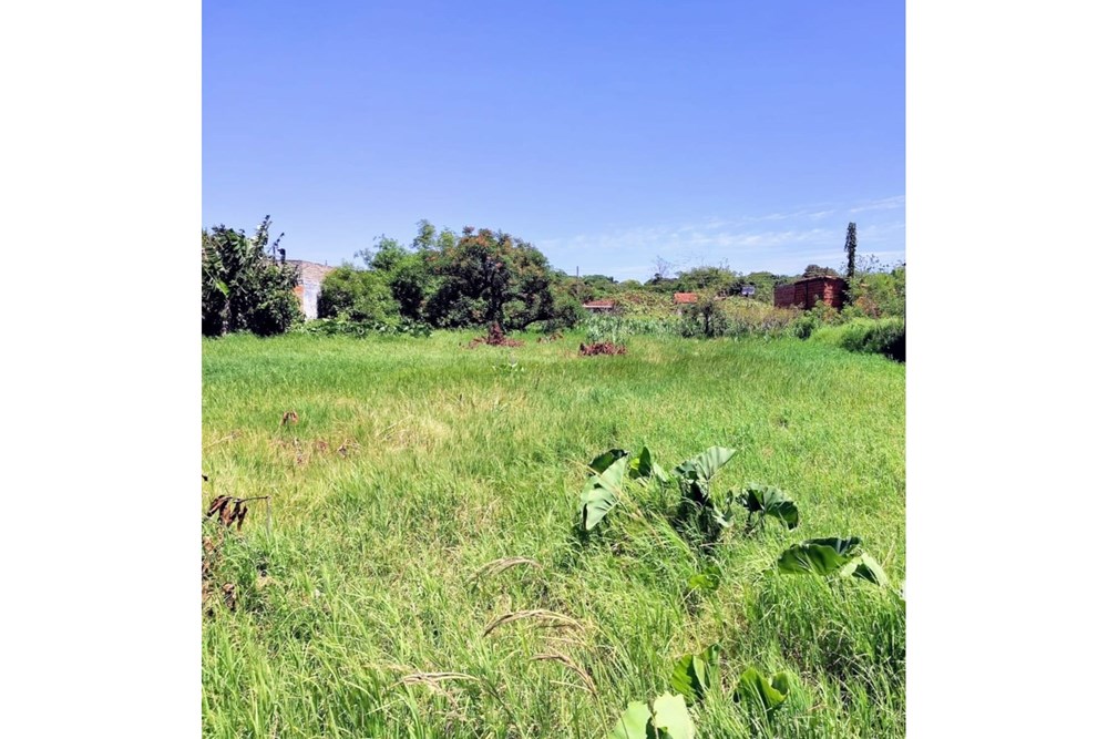 Land for sale in J. Augusto Saldívar, Central