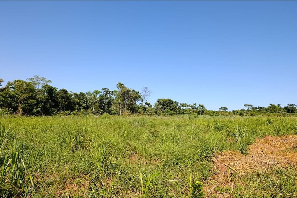 Land for sale in Juan Emilio O'Leary, Alto Paraná