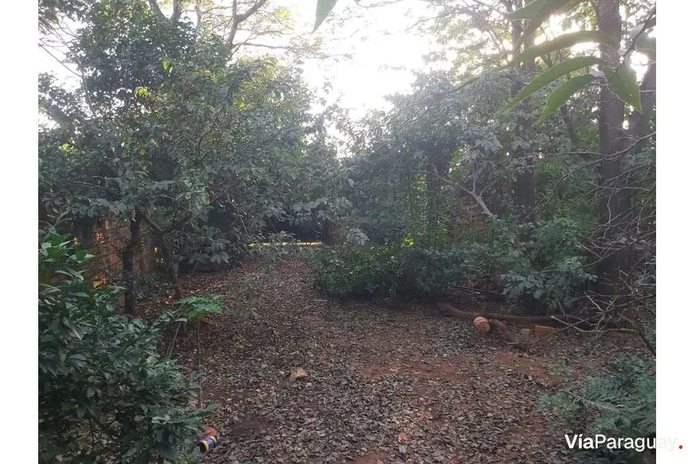 Terreno à venda em Julián Augusto Saldívar, Central