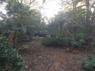 Terreno à venda em Julián Augusto Saldívar, Central