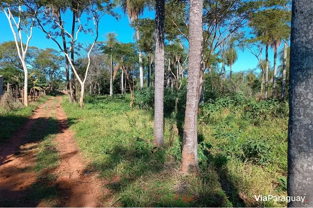 Terreno à venda em Julián Augusto Saldívar, Central