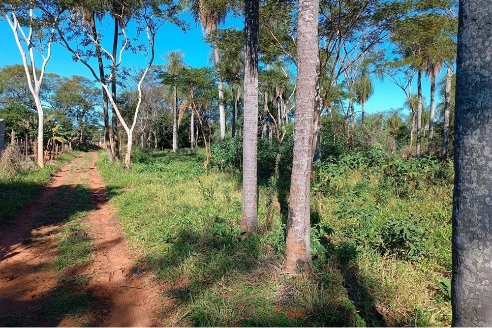 Land for sale in Julián Augusto Saldívar, Central
