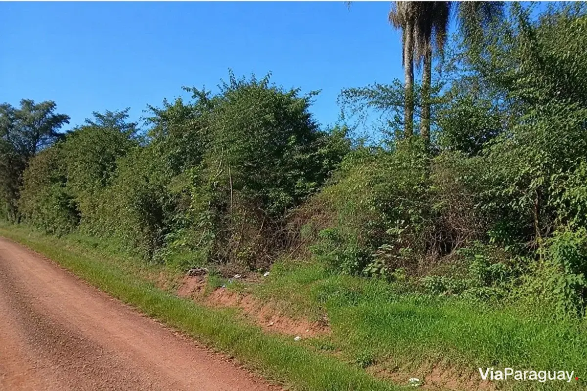 Terreno à venda em Julián Augusto Saldivar, Central