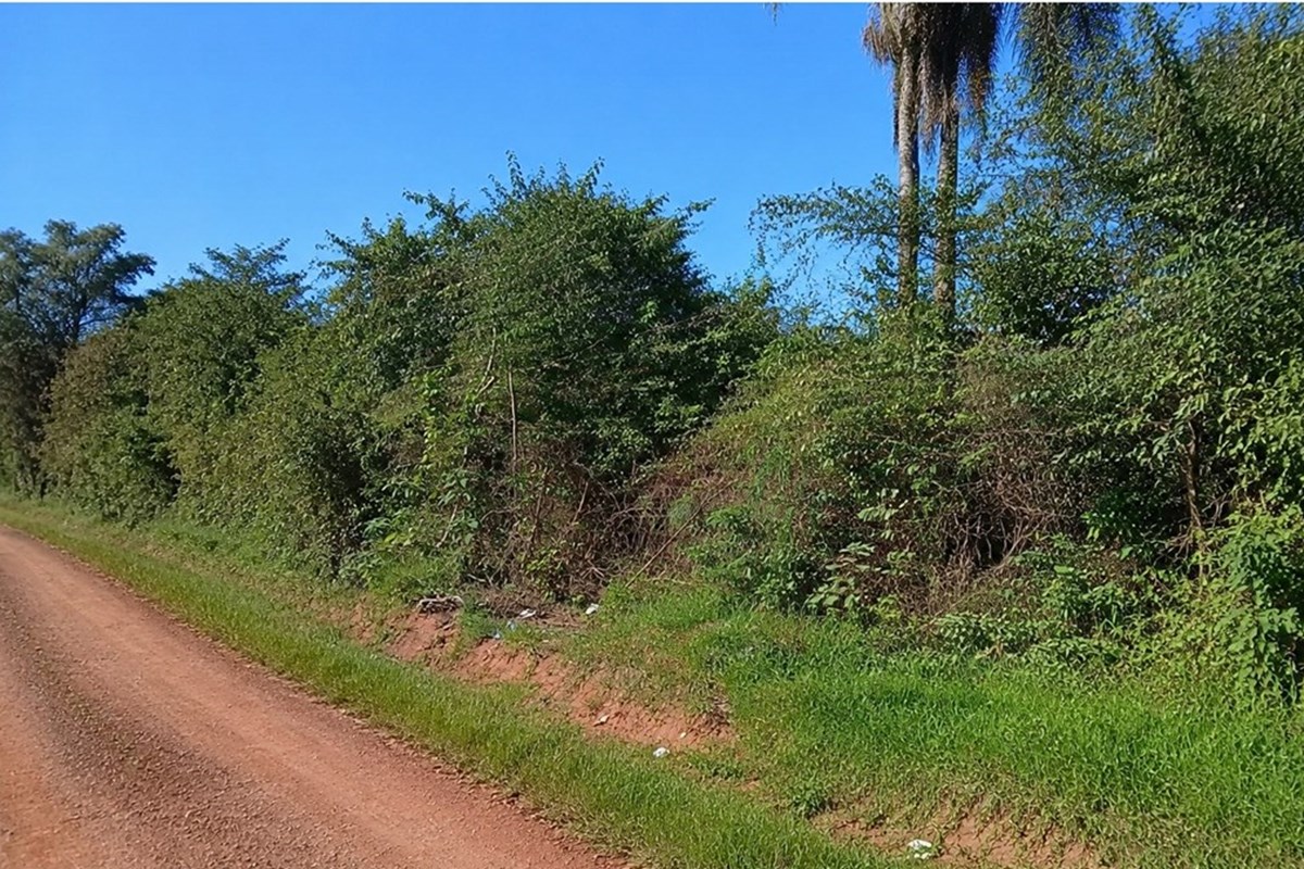 Terreno en venta en Julián Augusto Saldivar, Central
