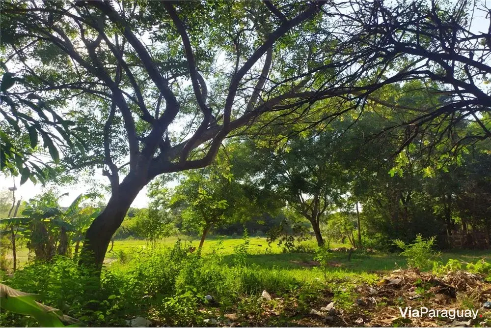 Terreno à venda em Julián Augusto Saldivar, Central