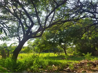 Terreno à venda em Julián Augusto Saldivar, Central