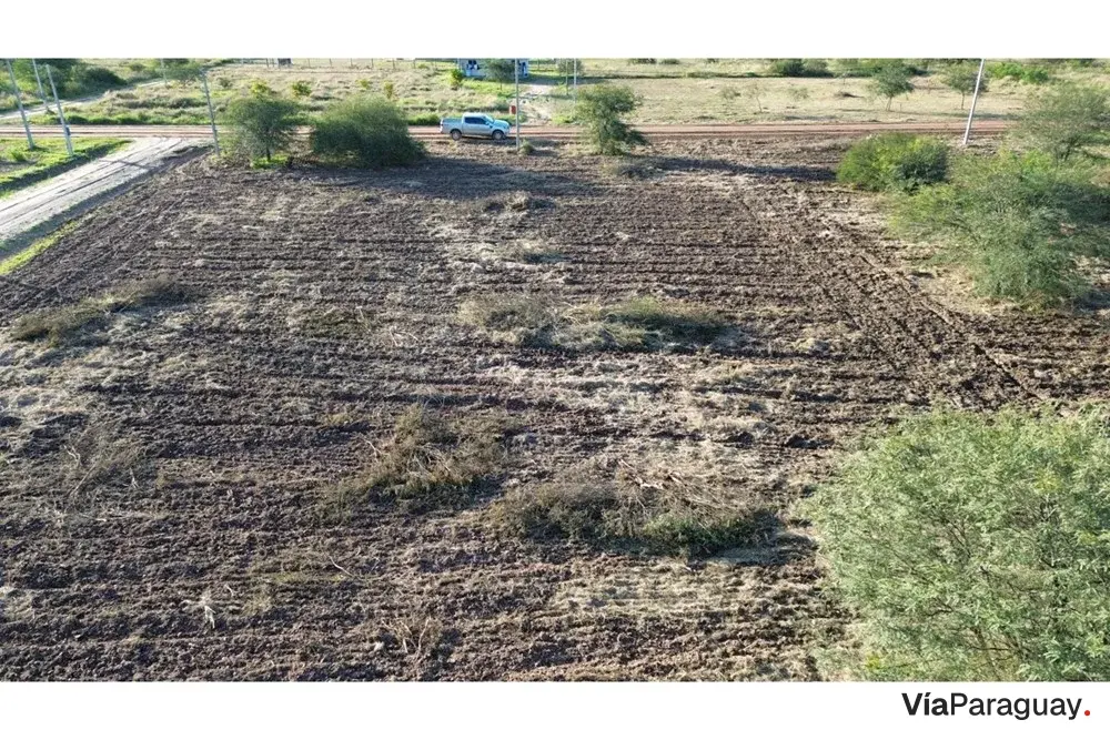 Land for sale in Kleefeld, Loma Plata