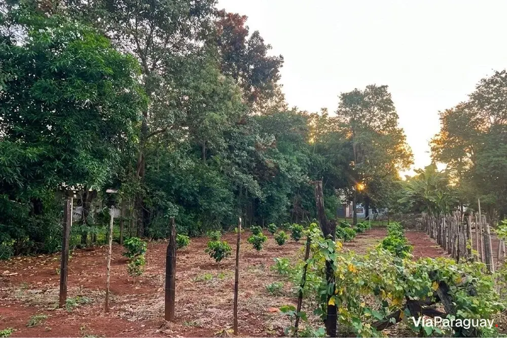 Terreno en venta en Km 5 Monday, Presidente Franco