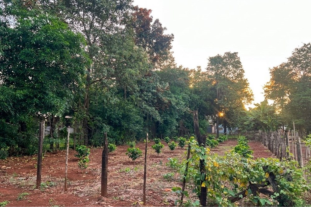 Terreno en venta en Km 5 Monday, Presidente Franco
