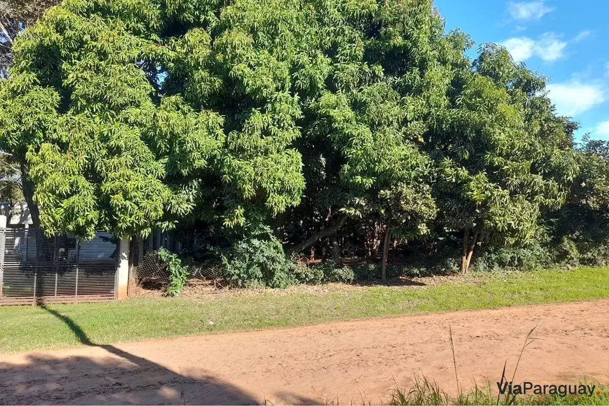 Land for sale in La Amistad, Cambyretá