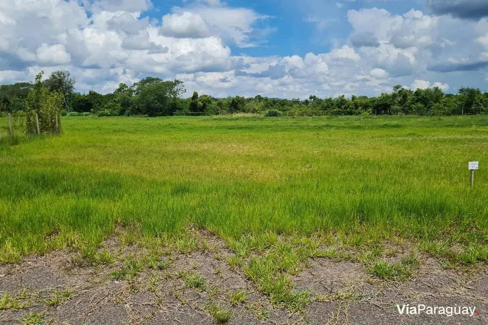Land for sale in La Matilde, San Bernardino