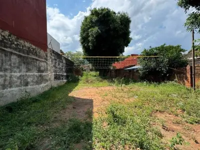 Land for sale in Lambaré, Palomar