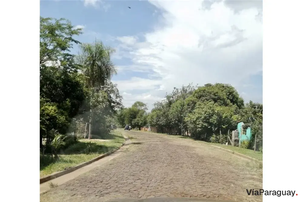 Land for sale in Las Lomas, San Juan del Paraná