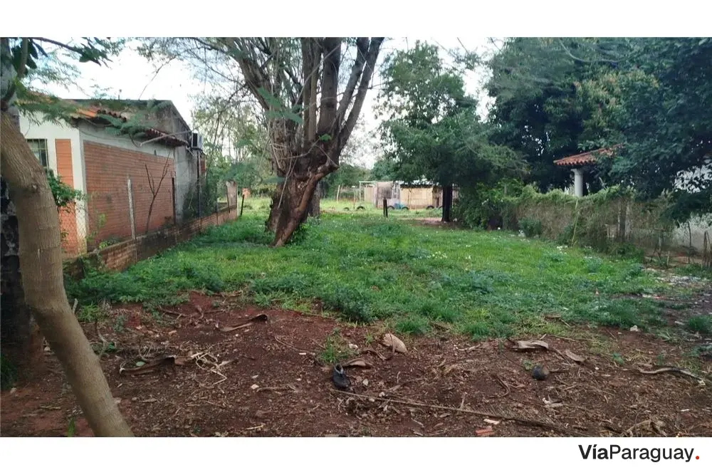 Terreno à venda em Las Mellizas, J. A. Saldivar