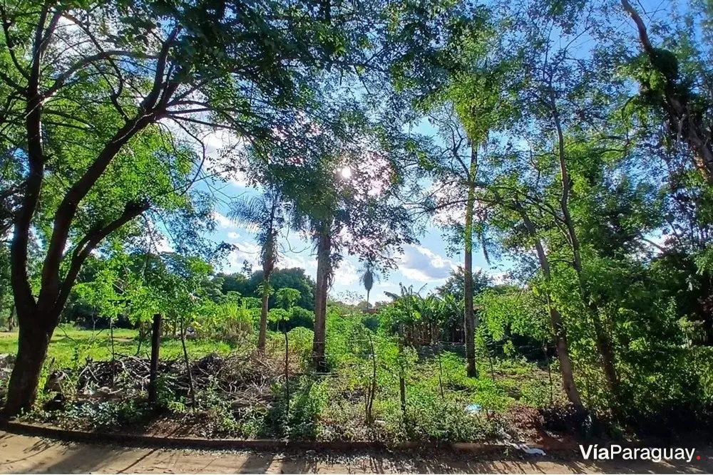 Terreno à venda em Laurelty, Luque