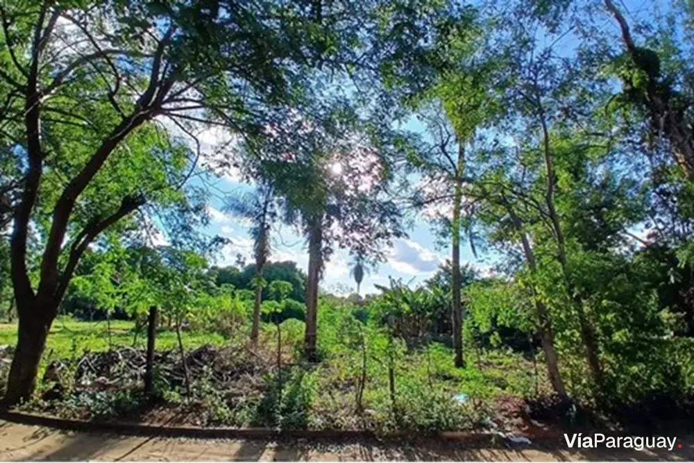 Terreno en venta en Laurelty, Luque