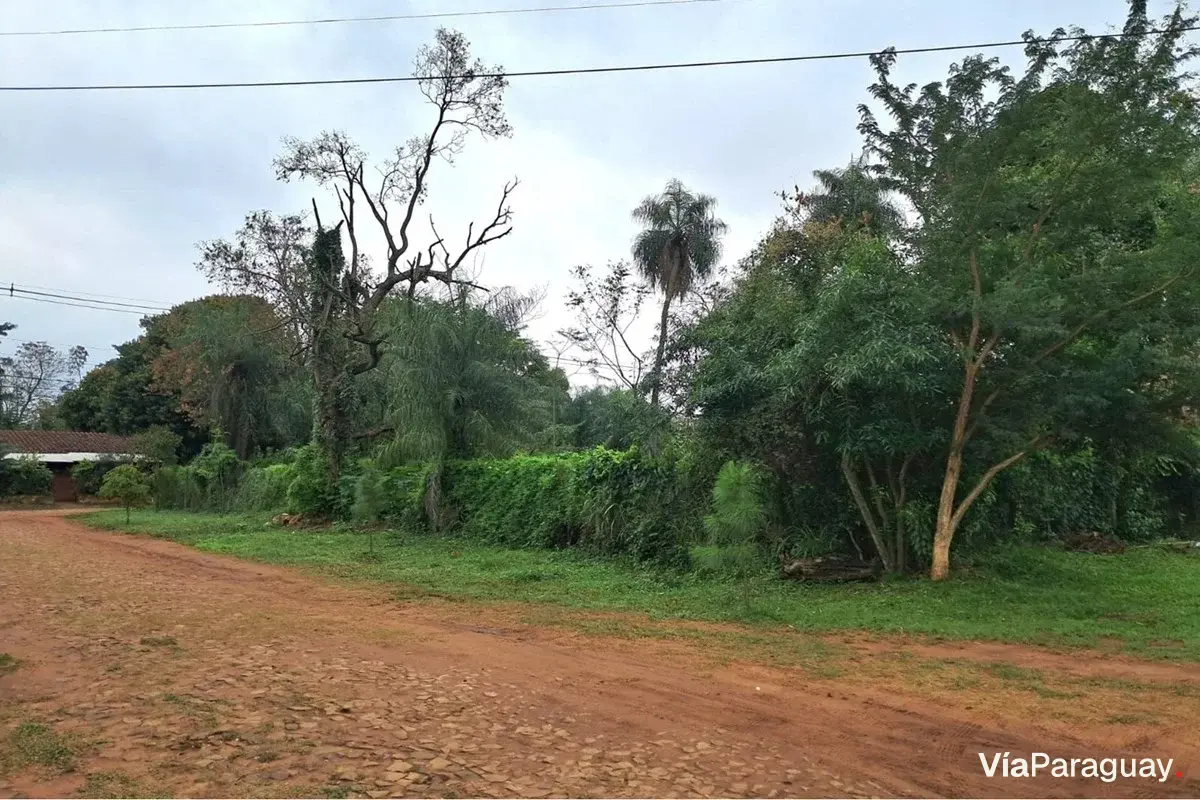 Terreno à venda em Laurelty, San Lorenzo