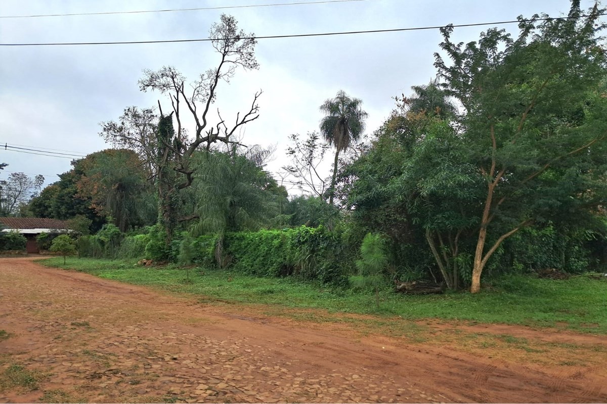 Land for sale in Laurelty, San Lorenzo