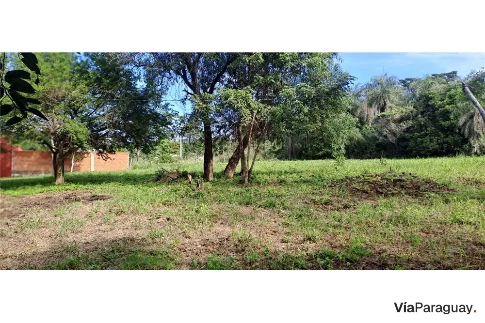 Terreno à venda em Limpio, Central