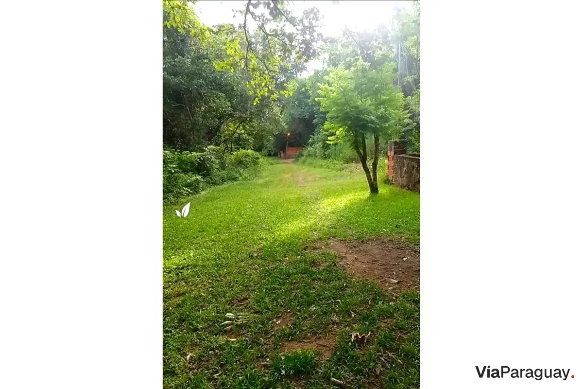 Terreno à venda em Limpio, Central